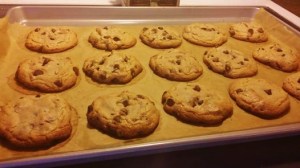 10367124_10202034928701313_5439108702834555579_n